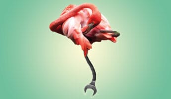 Flamingo with wrench as feet